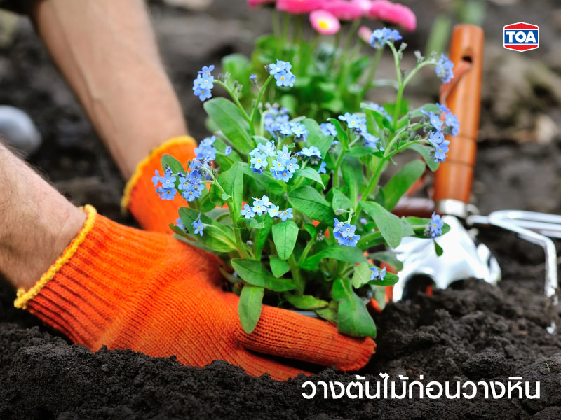 วางต้นไม้ก่อนวางหิน