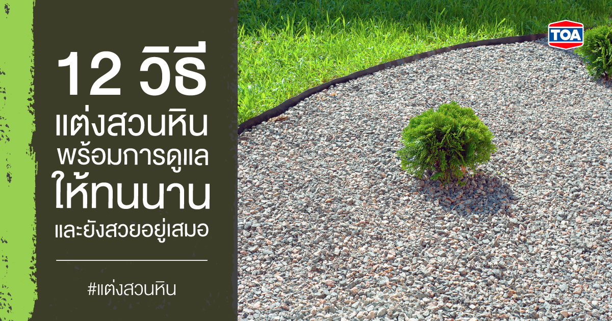 12 วิธีแต่งสวนหิน พร้อมการดูแลให้ทนนาน และยังสวยอยู่เสมอ