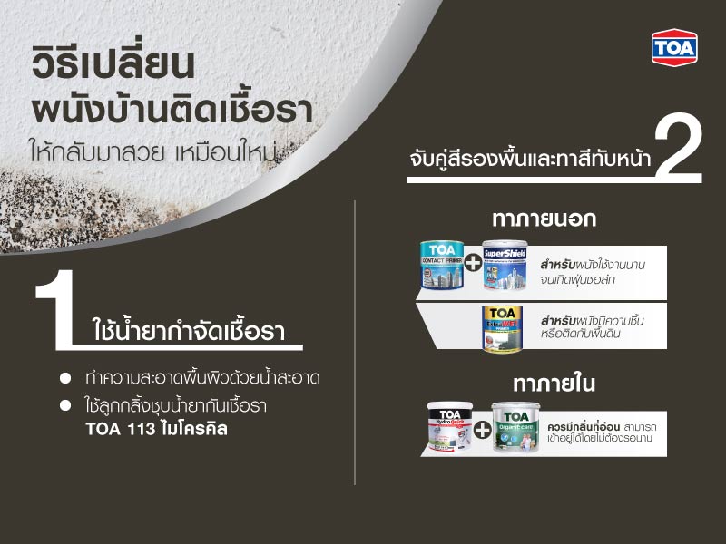 วิธีเปลี่ยนผนังบ้านติดเชื้อราให้กลับมาสวย