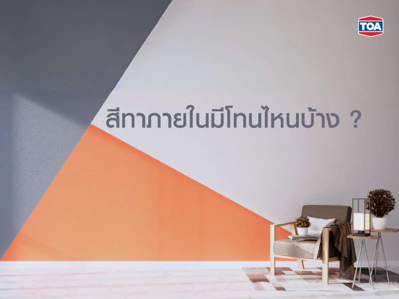 สีทาภายในมีโทนไหนบ้าง