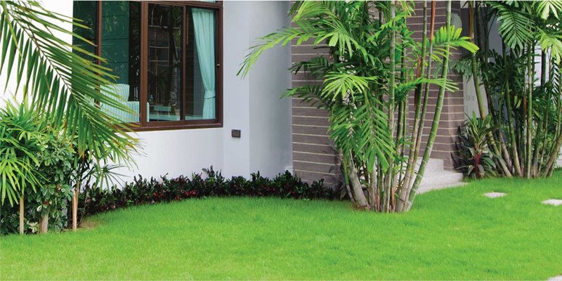 การ เลือกสีทาบ้านภายนอก สำหรับบ้านมีความชื้น บ้านติดพื้นสนามหญ้า