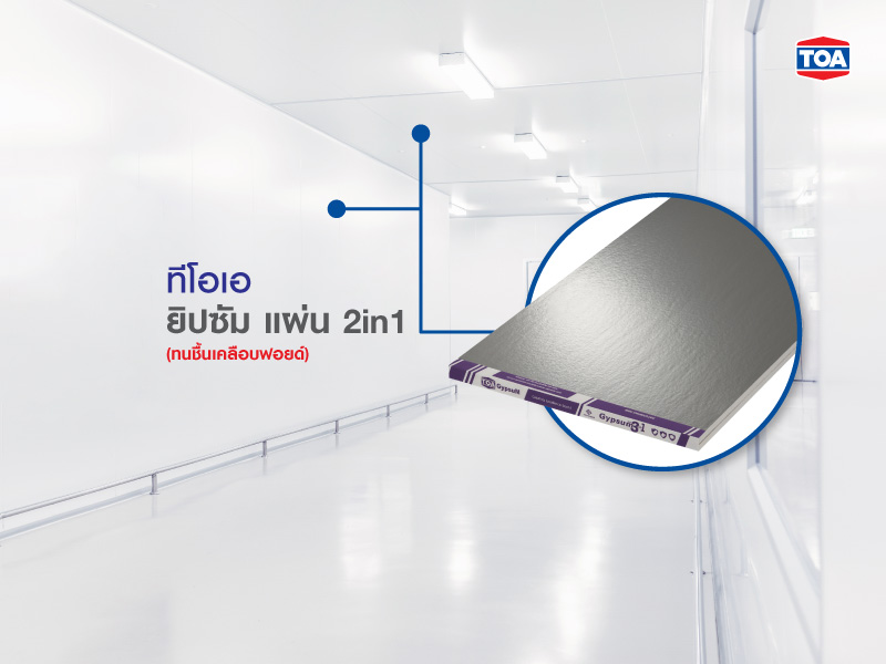 ทีโอเอ ยิปซัม แผ่นทูอินวัน
