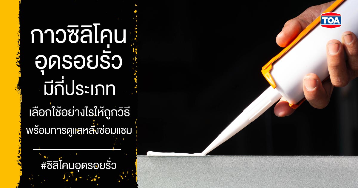กาวซิลิโคนอุดรอยรั่ว TOA มีกี่แบบ? ใช้อย่างไรให้ตรงจุด พร้อมเทคนิคดูแลหลังซ่อม
