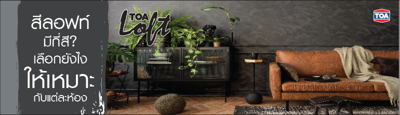 สีลอฟท์คืออะไร มีกี่สี มีกี่แบบ เลือกใช้ยังไงให้เหมาะกับแต่ละห้องดี