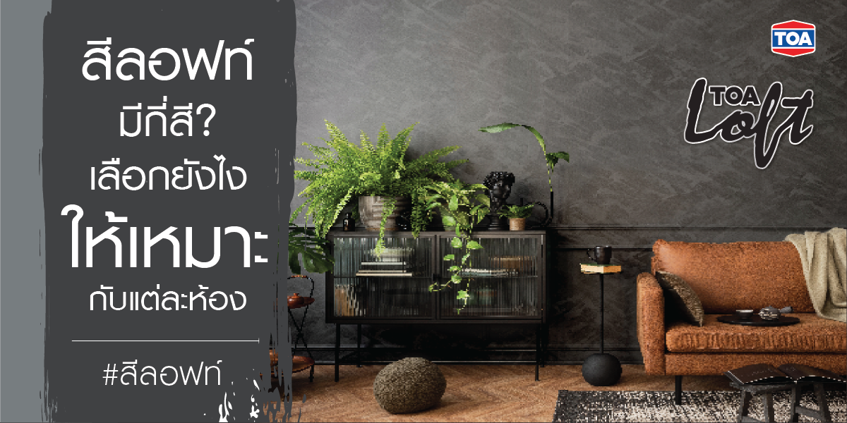 สีลอฟท์คืออะไร มีกี่สี มีกี่แบบ เลือกใช้ยังไงให้เหมาะกับแต่ละห้องดี