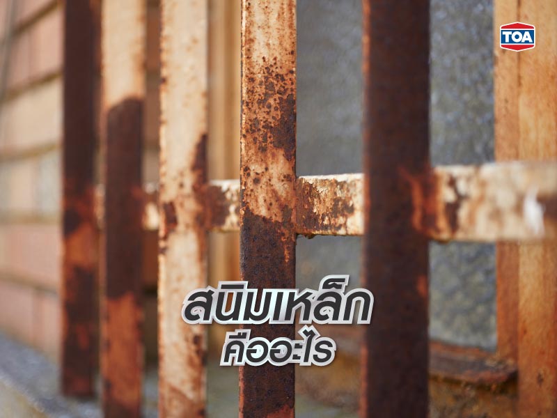 สนิมเหล็ก คืออะไร