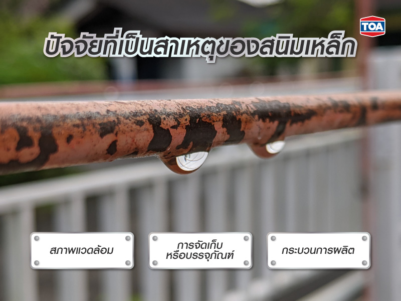 ปัจจัยที่เป็นสาเหตุของสนิมเหล็ก