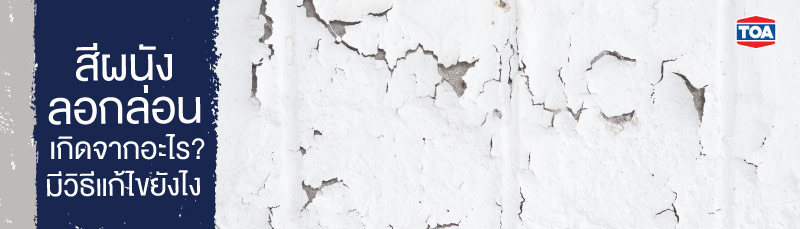 สีผนังลอกล่อนเกิดจากอะไร มีวิธีแก้ไขยังไง
