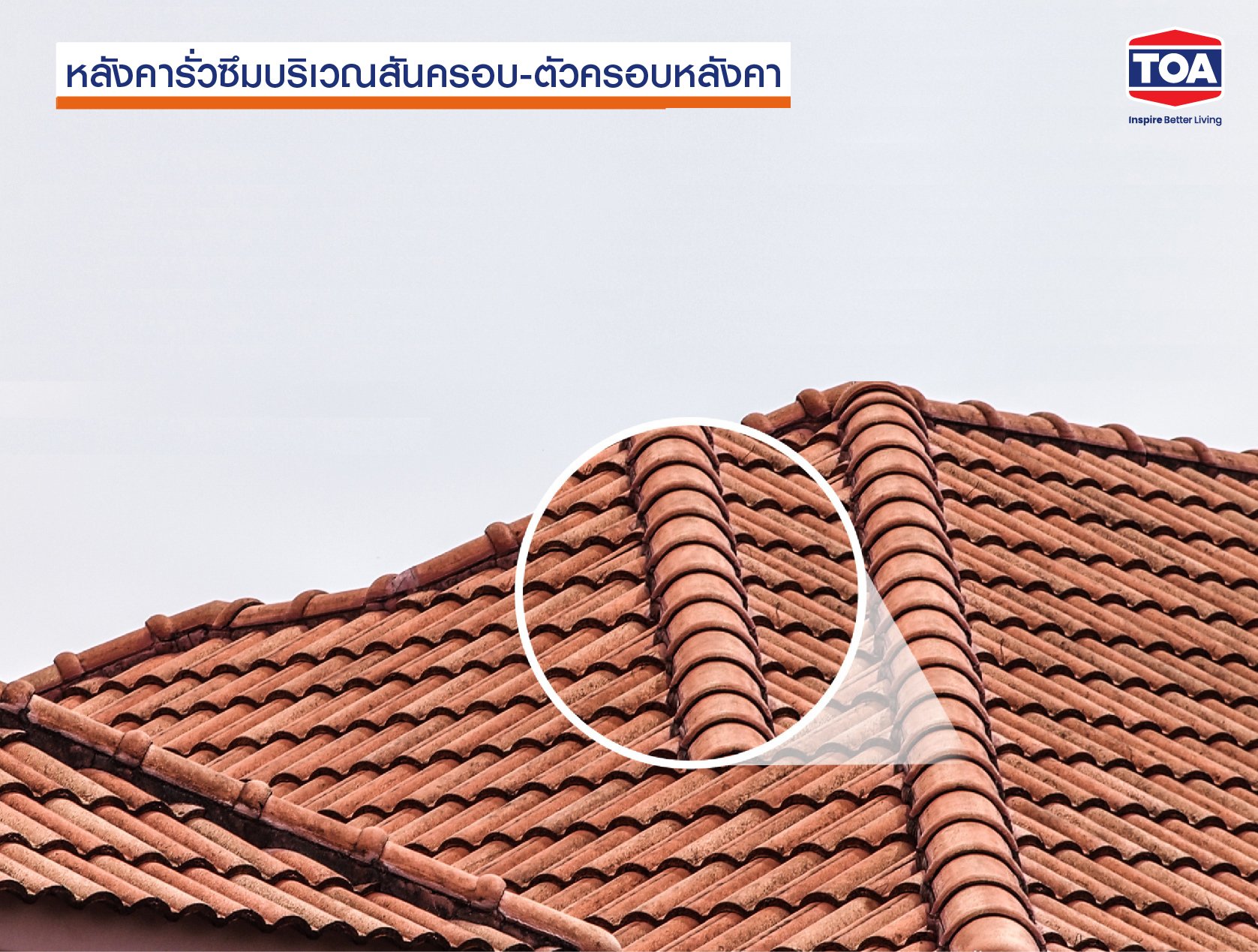 หลังคารั่วซึม บริเวณสันครอบหลังคา