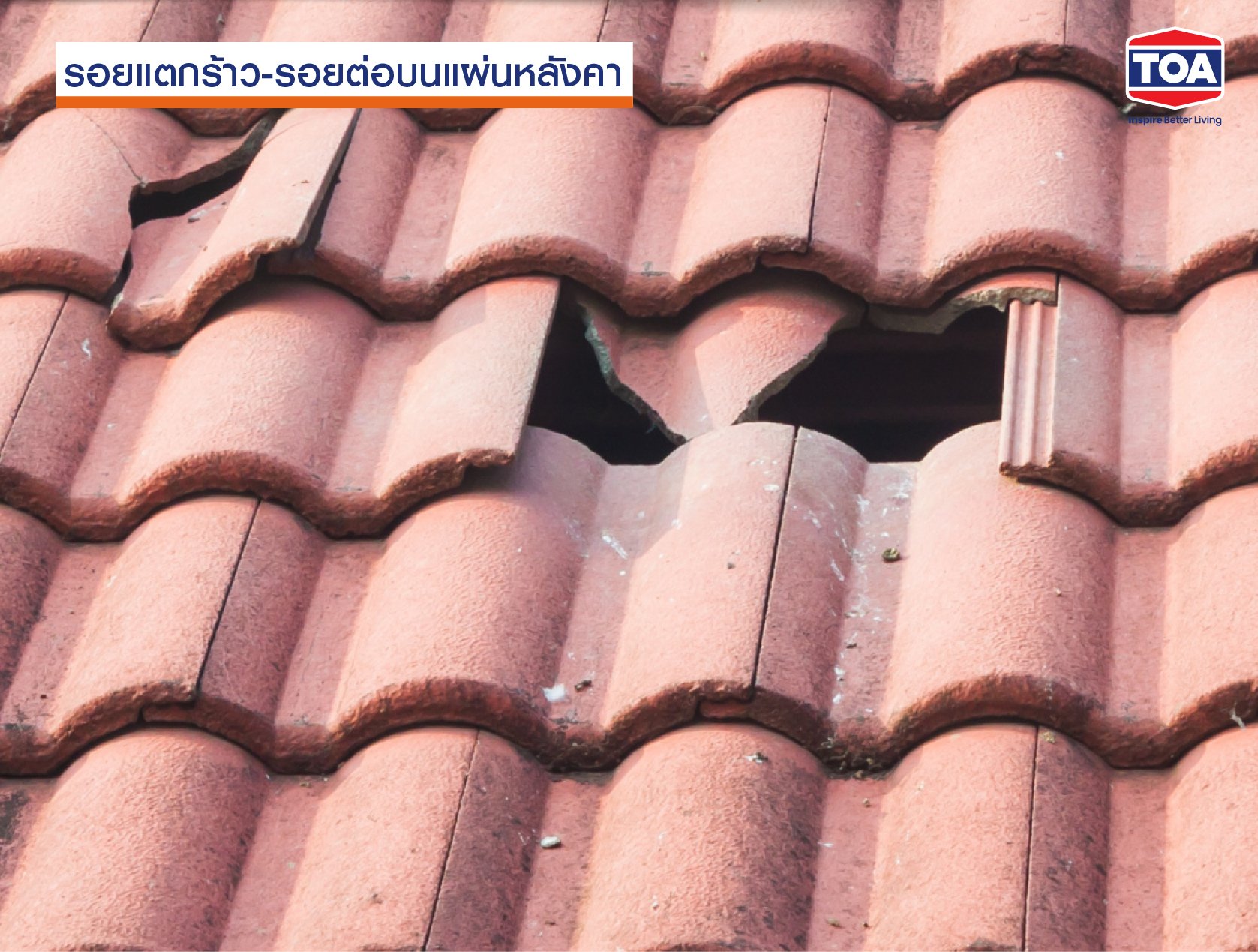 หลังคารั่วซึม เพราะมีรอยแตกร้าว