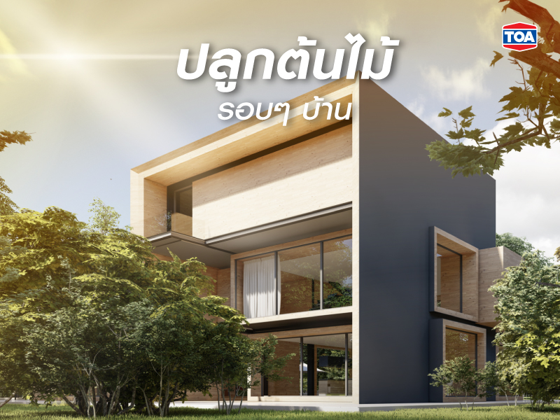 ปลูกต้นไม้บริเวณรอบบ้าน