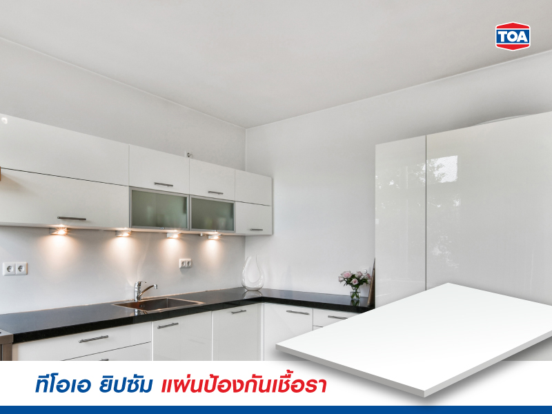 ทีโอเอ ยิปซัม แผ่นป้องกันเชื้อรา