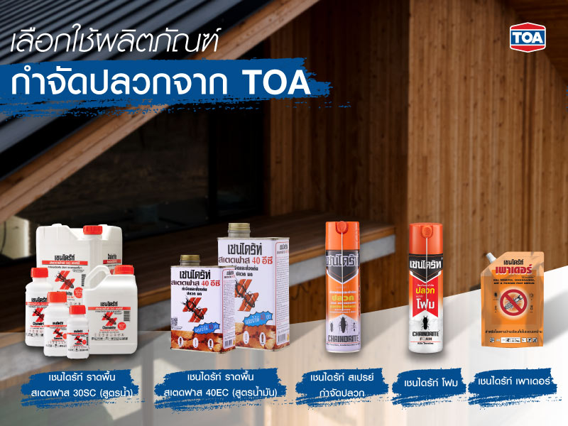 เลือกใช้ผลิตภัณฑ์กำจัดปลวกจาก TOA