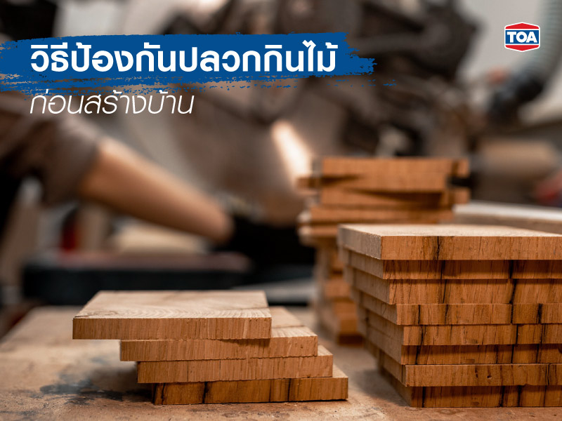 วิธีป้องกันปลวกกินไม้ก่อนสร้างบ้าน