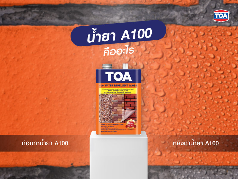 น้ำยา A100 คืออะไร
