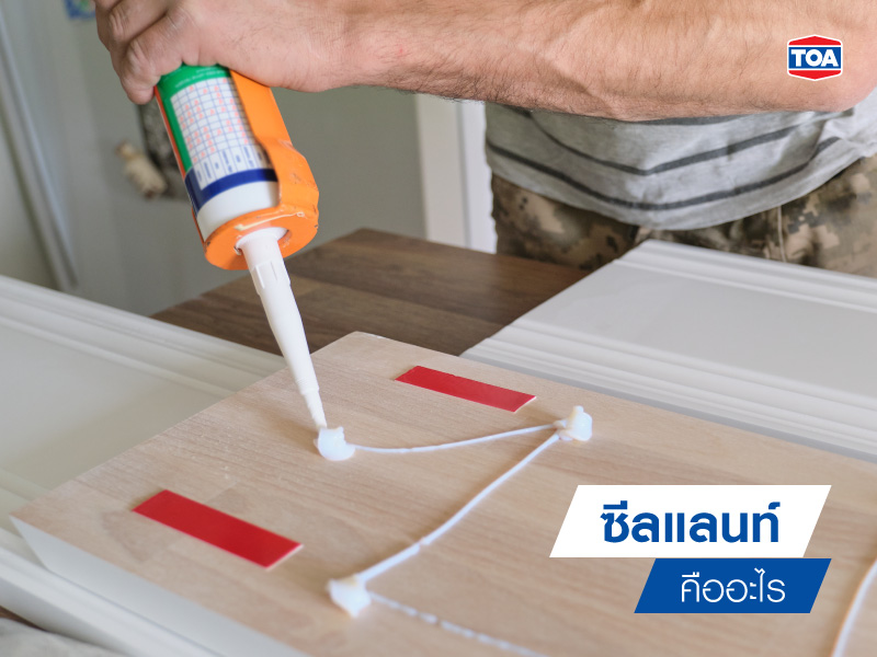 ก่อนจะมาทำความรู้ว่า ซิลิโคน ซีลแลนท์ คืออะไร ขอแนะนำตัวละครหลักอย่าง ซีลแลนท์ กันก่อน