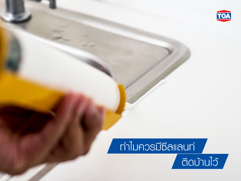 ก่อนจะมาทำความรู้ว่า ซิลิโคน ซีลแลนท์ คืออะไร ขอแนะนำตัวละครหลักอย่าง ซีลแลนท์ กันก่อน