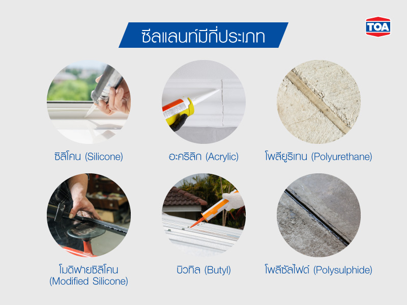 ก่อนจะมาทำความรู้ว่า ซิลิโคน ซีลแลนท์ คืออะไร ขอแนะนำตัวละครหลักอย่าง ซีลแลนท์ กันก่อน