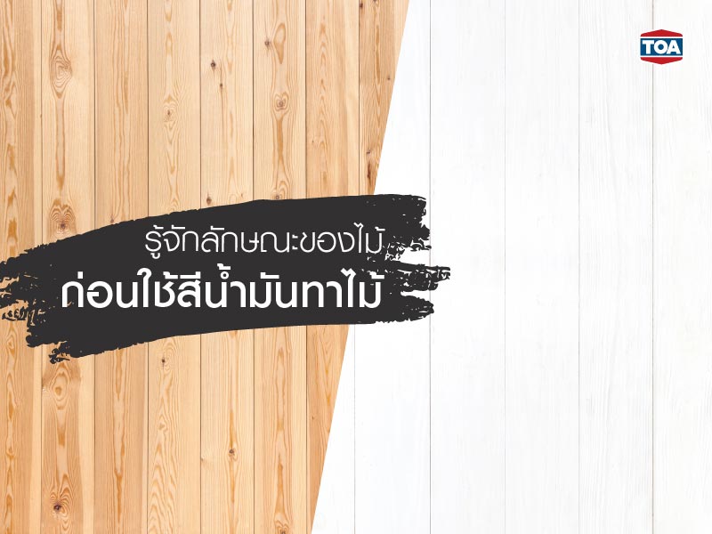 รู้จักลักษณะของไม้ ก่อนใช้สีน้ำมันทาไม้