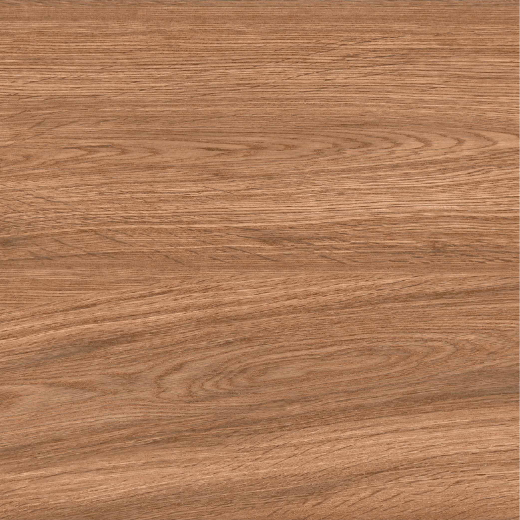 ทีโอเอ กระเบื้อง รุ่น EUCALYPTUS PINE