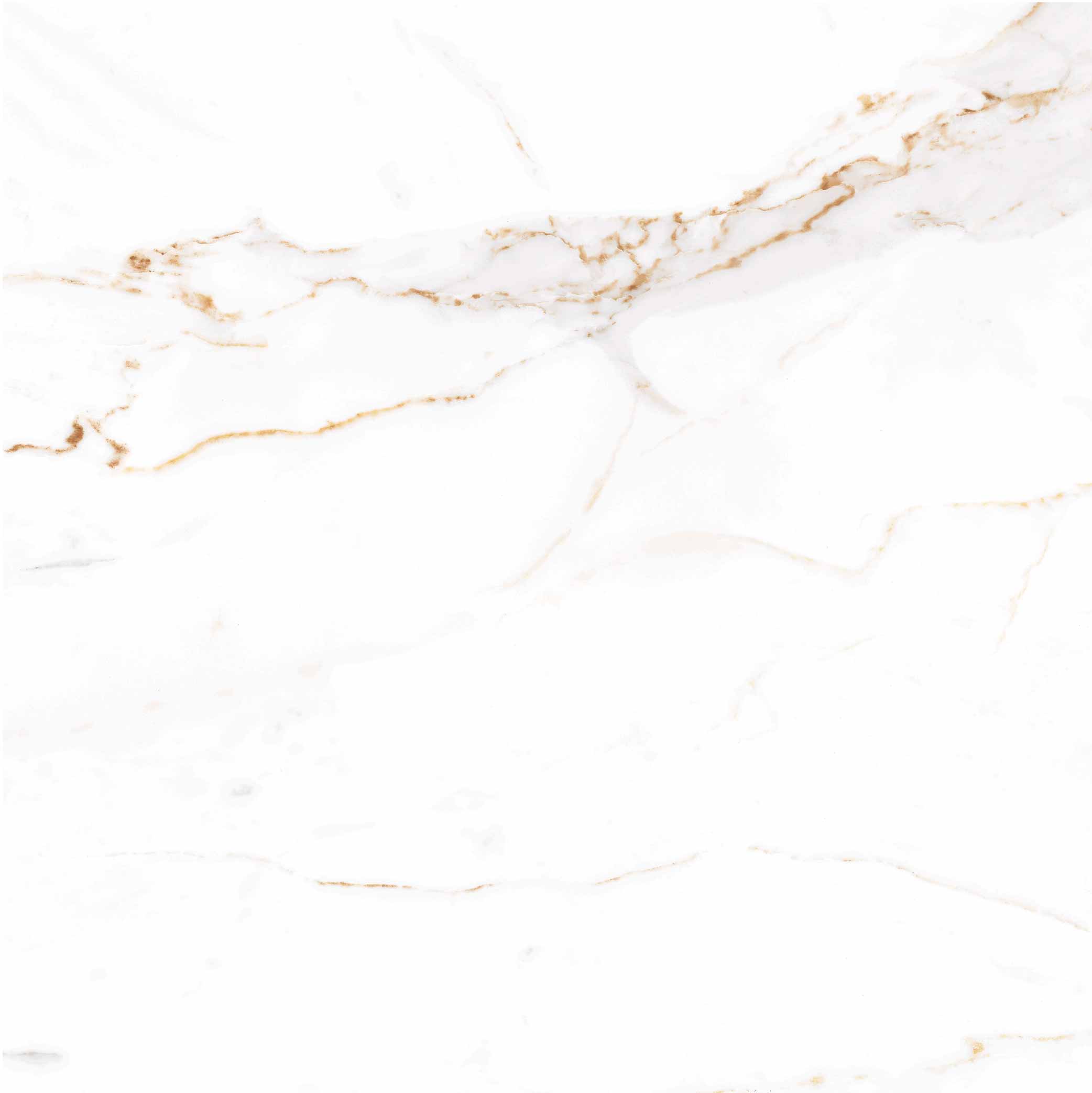 ทีโอเอ กระเบื้อง รุ่น REGAL CARRARA