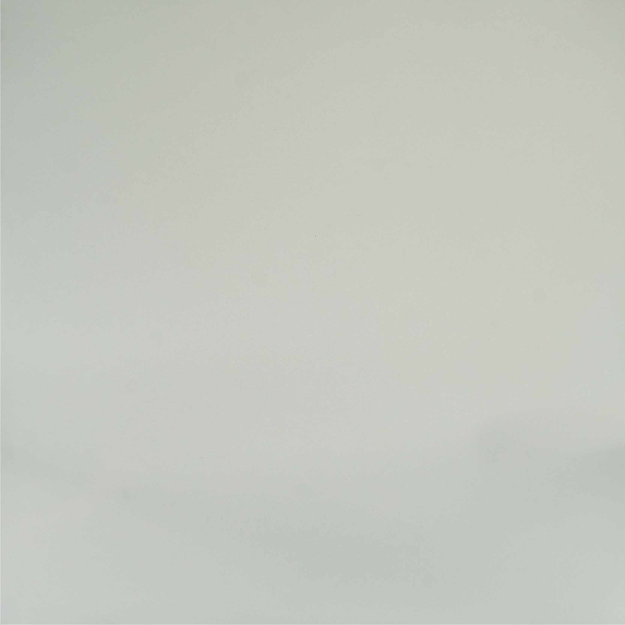 ทีโอเอ กระเบื้อง SUPER WHITE รุ่น J6T00