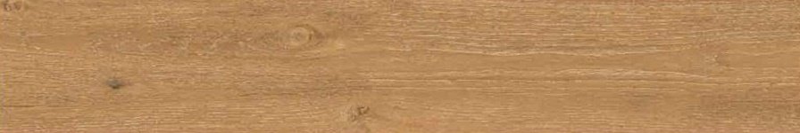 รุ่น CINNAMON HONEY